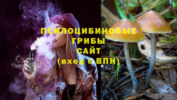 Альфа ПВП Арсеньев