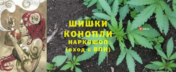 Альфа ПВП Арсеньев