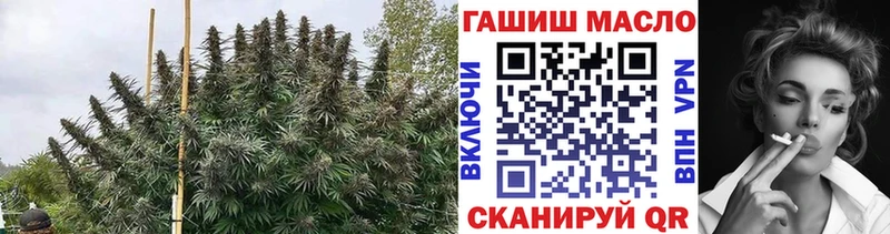 блэк спрут tor  Первомайск  Дистиллят ТГК Wax 